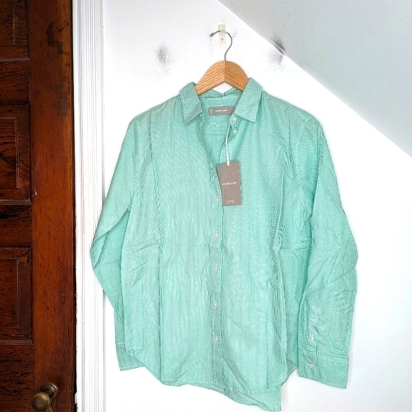 EVERLANE Women's Mint Stripe Button Down Silky Cotton Oversized Shirt NEW Size 0 - Picture 1 of 8